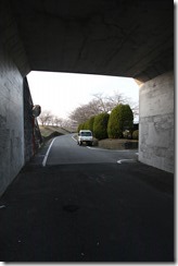 IMG_0271 IMG_0271