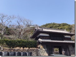 DSCF2445