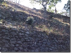DSCF2451