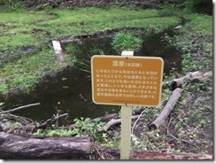 DSCF2648