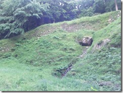 DSCF2655