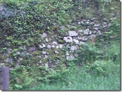 DSCF2656