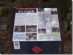 DSCF2421