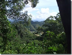 DSCF2795