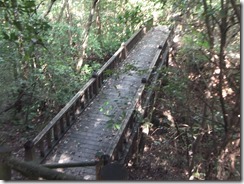 DSCF2798