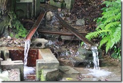 IMG_1939