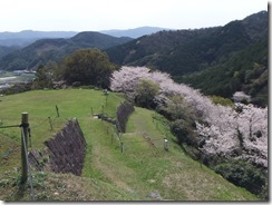 DSCF2561