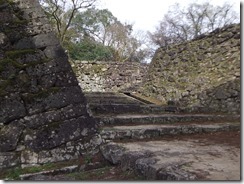 DSCF2596