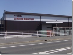 DSCF1290 DSCF1290