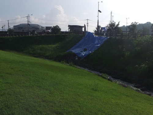 2012_0729川清掃　７月29日0010.JPG